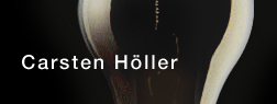 Carsten Höller